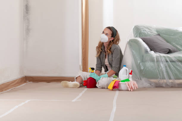 Reliable Basement Mold Remediation contractor in New Columbia, PA by WQB Mold Removal
